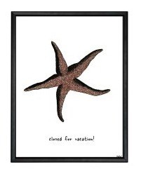 CUADRO "ESTRELLA DE MAR"